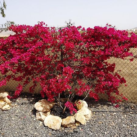 Dunasol Fuerteventura Corralejo Bagian luar foto